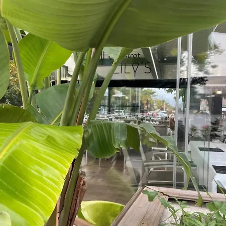 28 M2 Porticcio Centre Apartment