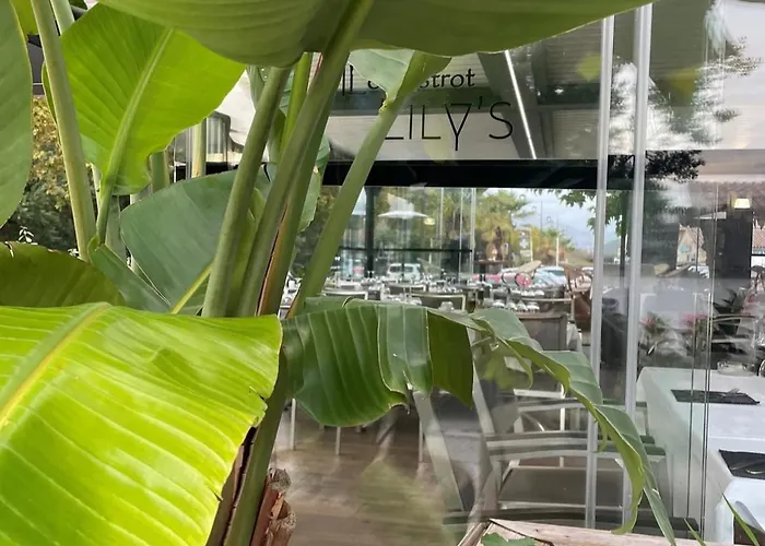 28 M2 Centre Apartament